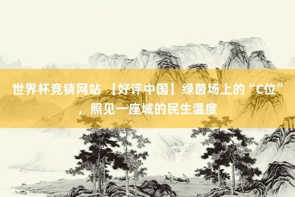 世界杯竞猜网站 【好评中国】绿茵场上的“C位”，照见一座城的民生温度