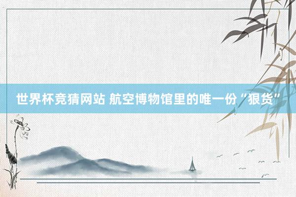 世界杯竞猜网站 航空博物馆里的唯一份“狠货”