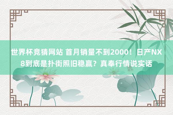 世界杯竞猜网站 首月销量不到2000！日产NX8到底是扑街照旧稳赢？真奉行情说实话