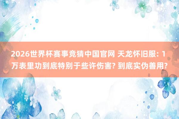 2026世界杯赛事竞猜中国官网 天龙怀旧服: 1 万表里功到底特别于些许伤害? 到底实伪善用?