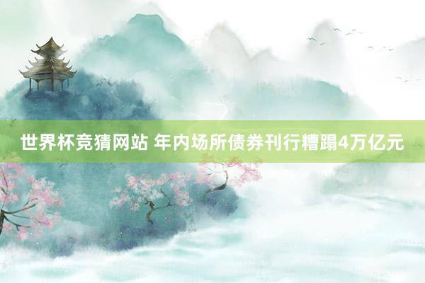 世界杯竞猜网站 年内场所债券刊行糟蹋4万亿元