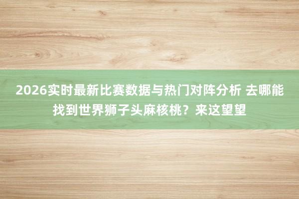 2026实时最新比赛数据与热门对阵分析 去哪能找到世界狮子头麻核桃？来这望望