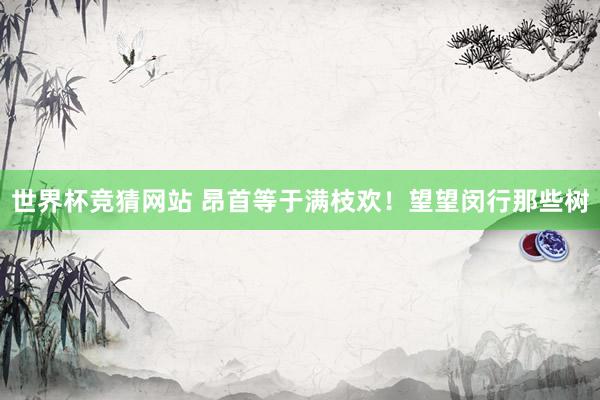 世界杯竞猜网站 昂首等于满枝欢！望望闵行那些树