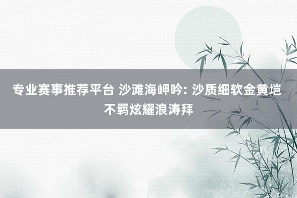 专业赛事推荐平台 沙滩海岬吟: 沙质细软金黄垲 不羁炫耀浪涛拜