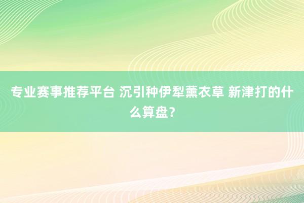 专业赛事推荐平台 沉引种伊犁薰衣草 新津打的什么算盘？