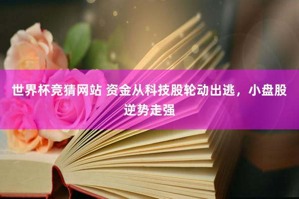 世界杯竞猜网站 资金从科技股轮动出逃,小盘股逆势走强