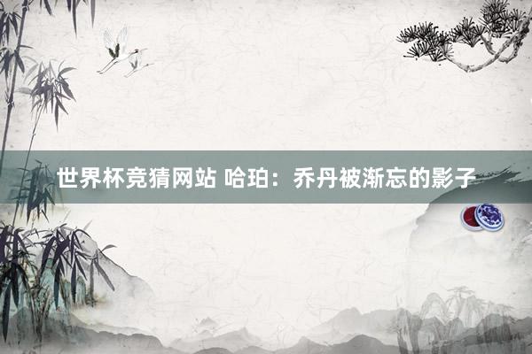 世界杯竞猜网站 哈珀：乔丹被渐忘的影子