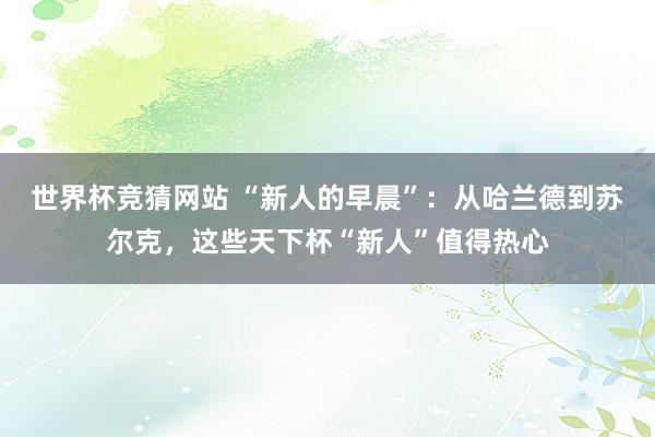 世界杯竞猜网站 “新人的早晨”：从哈兰德到苏尔克，这些天下杯“新人”值得热心