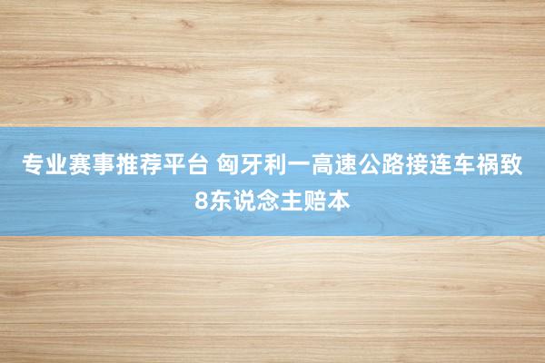 专业赛事推荐平台 匈牙利一高速公路接连车祸致8东说念主赔本