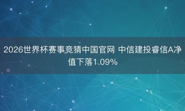 2026世界杯赛事竞猜中国官网 中信建投睿信A净值下落1.09%